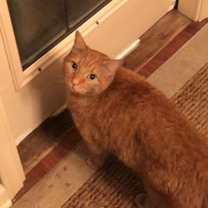 Meet your Posher, Max